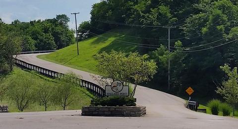 110 Doe Ct, Georgetown, KY 40324 photo 45