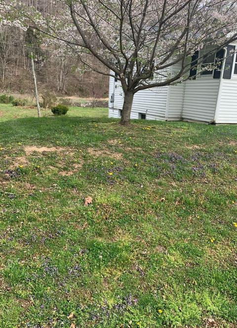 5380 E Us 60, Morehead, KY 40351 photo 2