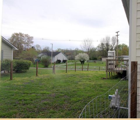 146 Cox St, Stanton, KY 40380 photo 12