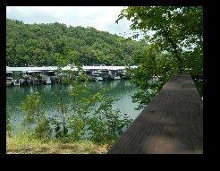 340 Eagle Point Dr, Albany, KY 42602 photo 96