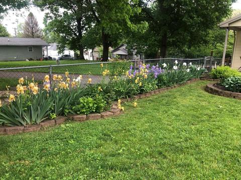 261 Harmon St, Paris, KY 40361 photo 25