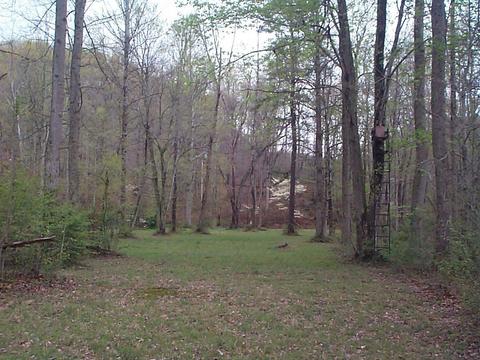 3815 Clearfork Rd, Morehead, KY 40351 photo 13