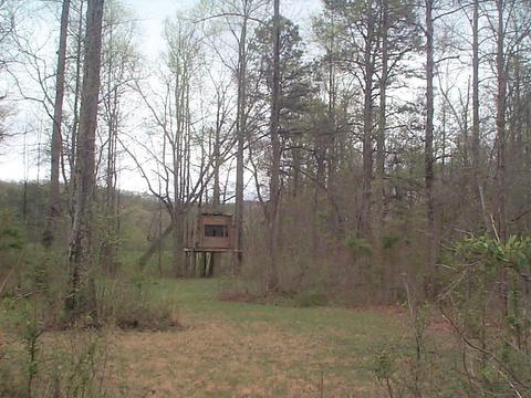 3815 Clearfork Rd, Morehead, KY 40351 photo 10