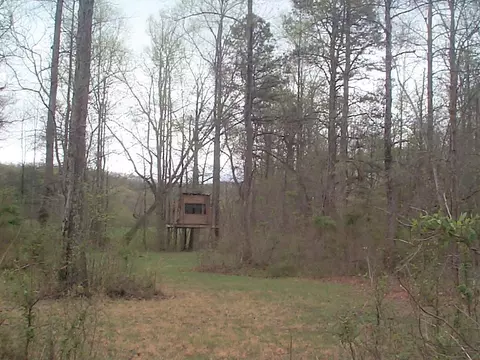 3815 Clearfork Rd, Morehead, KY 40351 photo 10