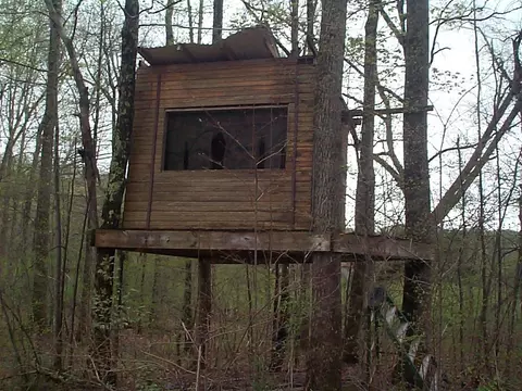 3815 Clearfork Rd, Morehead, KY 40351 photo 11