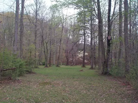 3815 Clearfork Rd, Morehead, KY 40351 photo 13