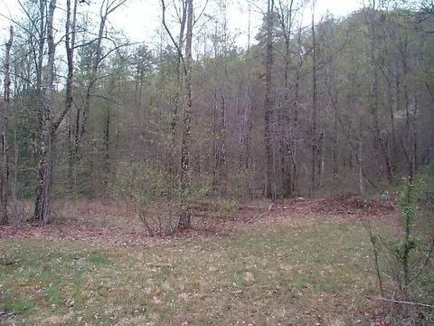 3815 Clearfork Rd, Morehead, KY 40351 photo 14