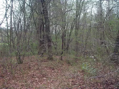 3815 Clearfork Rd, Morehead, KY 40351 photo 15
