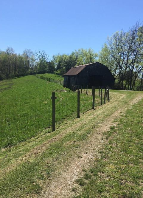 590 Avenstoke Rd, Waddy, KY 40076 photo 6