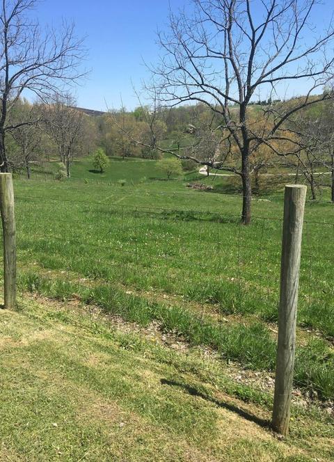 590 Avenstoke Rd, Waddy, KY 40076 photo 4