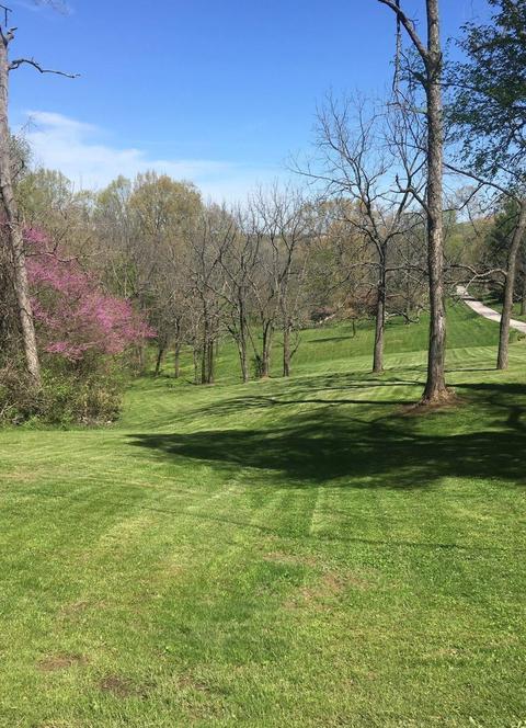 590 Avenstoke Rd, Waddy, KY 40076 photo 3