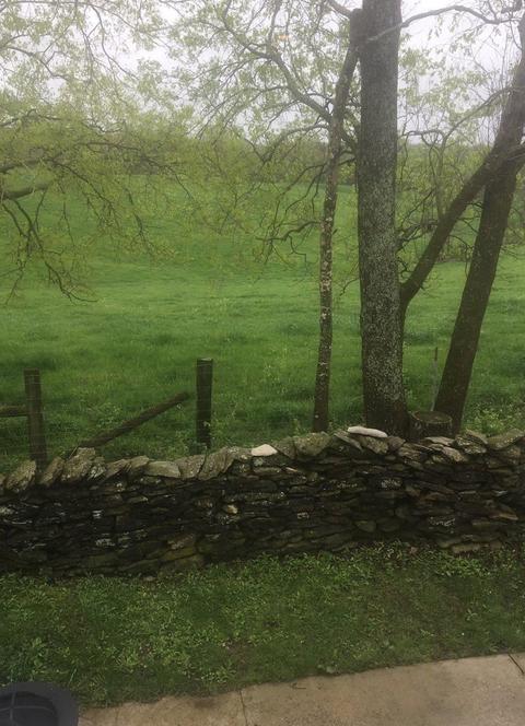 590 Avenstoke Rd, Waddy, KY 40076 photo 27
