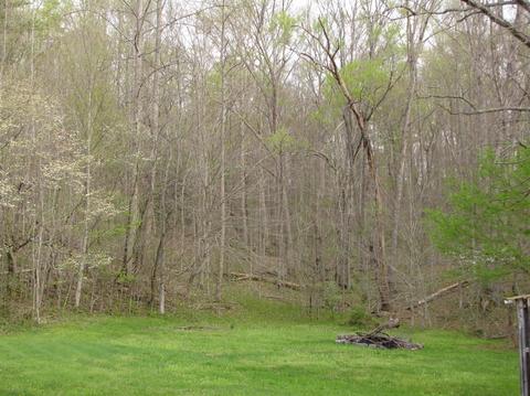 8838 Ky 6, Corbin, KY 40701 photo 12