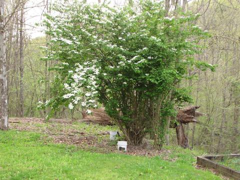 8838 Ky 6, Corbin, KY 40701 photo 13