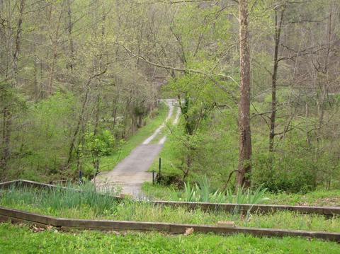 8838 Ky 6, Corbin, KY 40701 photo 11