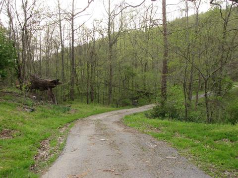 8838 Ky 6, Corbin, KY 40701 photo 10