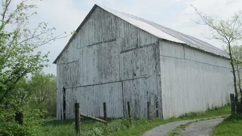 1480 Nepton Rd, Ewing, KY 41039 photo 3