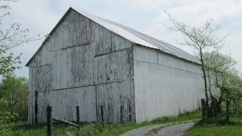 1480 Nepton Rd, Ewing, KY 41039 photo 4