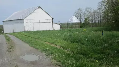 1480 Nepton Rd, Ewing, KY 41039 photo 2