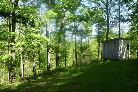550 Ccc Trl, Morehead, KY 40351 photo 7