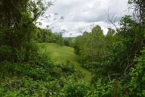 550 Ccc Trl, Morehead, KY 40351 photo 10