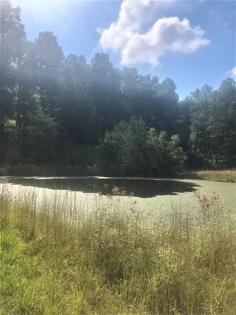 550 Ccc Trl, Morehead, KY 40351 photo 39