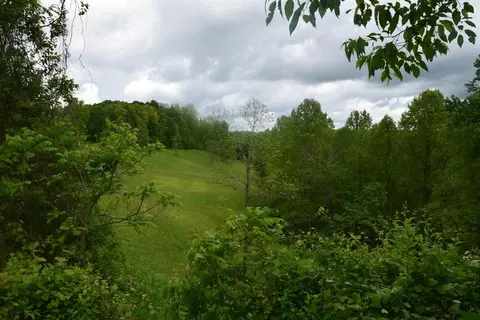 550 Ccc Trl, Morehead, KY 40351 photo 14