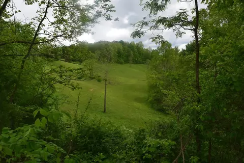 550 Ccc Trl, Morehead, KY 40351 photo 13