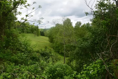 550 Ccc Trl, Morehead, KY 40351 photo 12