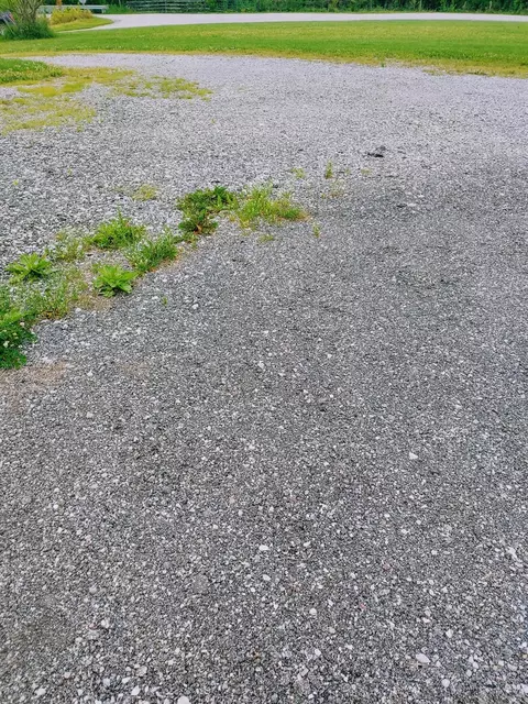 979 Hinton Webber Rd, Corinth, KY 41010 photo 39