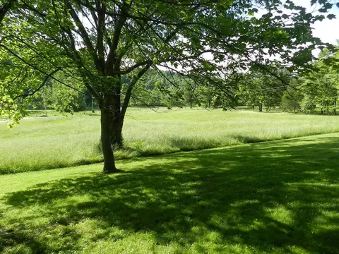 543 Chickadee Ln, Brodhead, KY 40409 photo 3