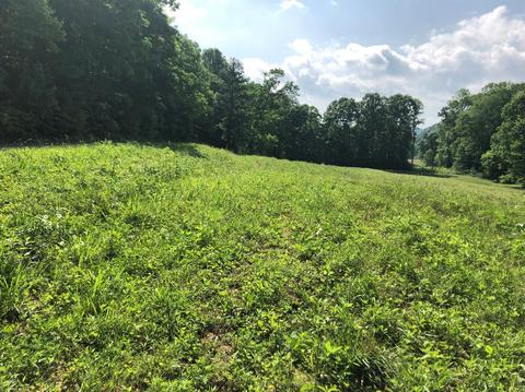 375 Stacy Rd, Morehead, KY 40351 photo 9