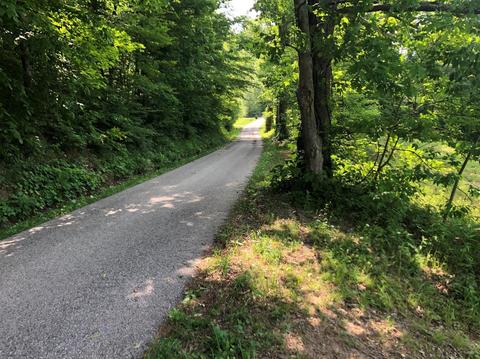 375 Stacy Rd, Morehead, KY 40351 photo 2