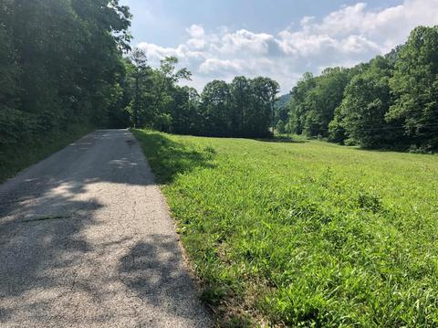 375 Stacy Rd, Morehead, KY 40351 photo 6