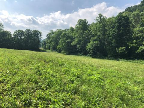 375 Stacy Rd, Morehead, KY 40351 photo 8