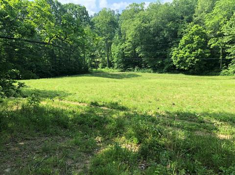375 Stacy Rd, Morehead, KY 40351 photo 1