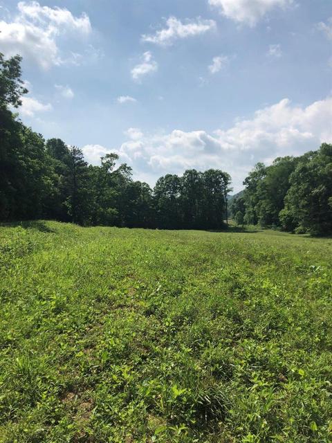 375 Stacy Rd, Morehead, KY 40351 photo 7