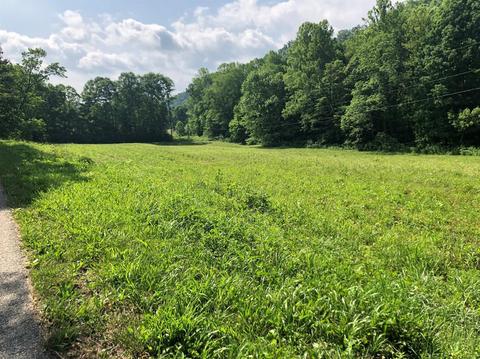 375 Stacy Rd, Morehead, KY 40351 photo 5