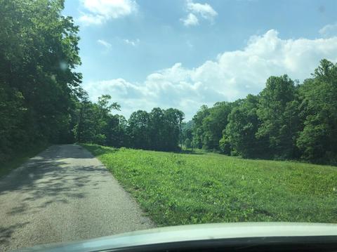 375 Stacy Rd, Morehead, KY 40351 photo 12
