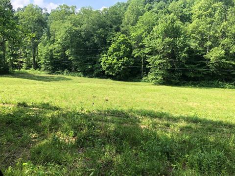 375 Stacy Rd, Morehead, KY 40351 photo 15