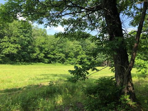 375 Stacy Rd, Morehead, KY 40351 photo 17