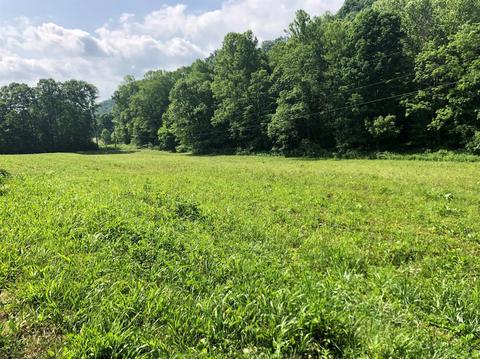 375 Stacy Rd, Morehead, KY 40351 photo 4