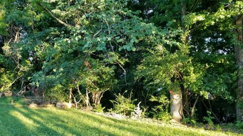 82 Sellars Rd, Nancy, KY 42544 photo 20