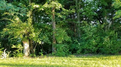 82 Sellars Rd, Nancy, KY 42544 photo 19
