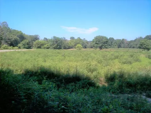 3490 Bluestone Rd, Morehead, KY 40351 photo 16