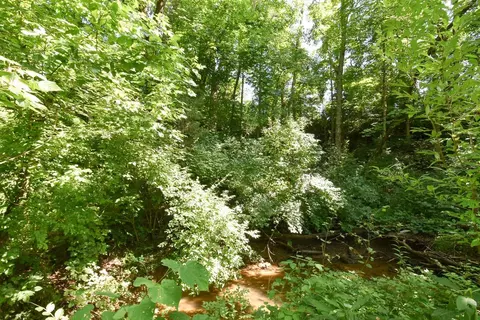 336 Ridgeview Dr, Berea, KY 40403 photo 19