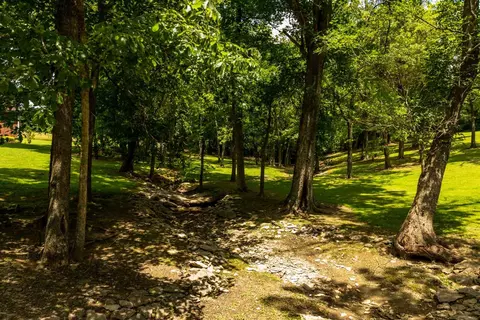 275 Oregon Rd, Salvisa, KY 40372 photo 48