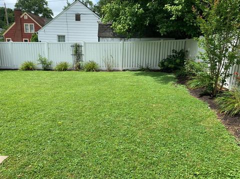 234 Lyons Ave, Morehead, KY 40351 photo 22