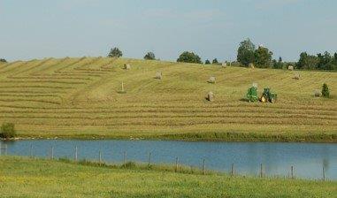 1805 Booker Rd, Springfield, KY 40069 photo 79