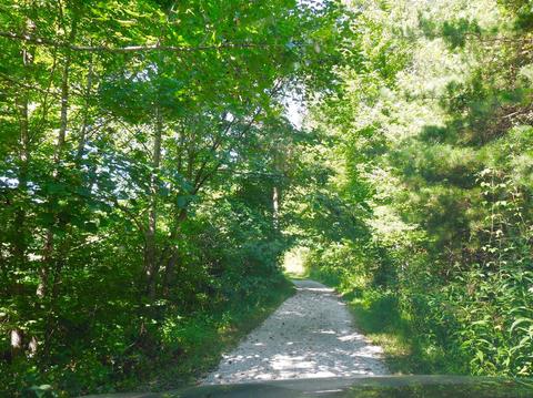 101 Nutmeg Dr, Stanton, KY 40380 photo 2